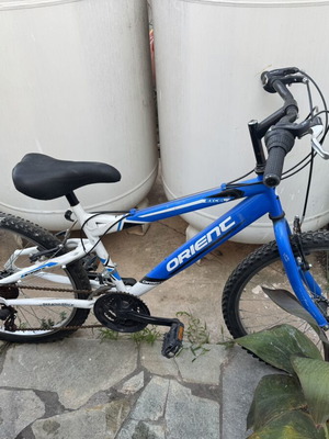 Orienc Bikes bicycle, men's, with gears