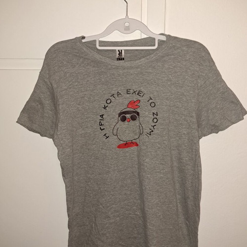 Roly T-shirt L grey with print, new