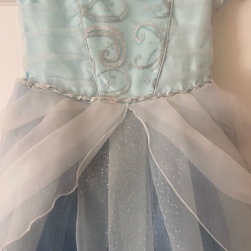 Cinderella costume from Disneyland worn for 2-3 hours