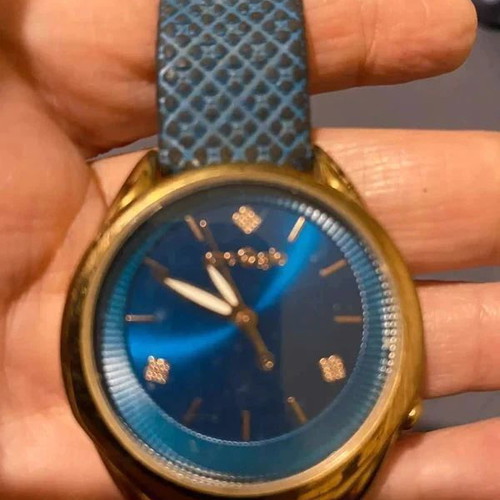 Gregio GR117081 women's watch used, blue dial