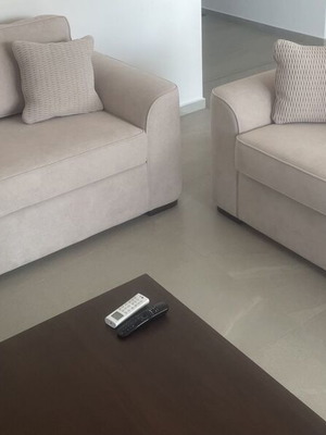 Set of 2 living room sofas, waterproof fabric