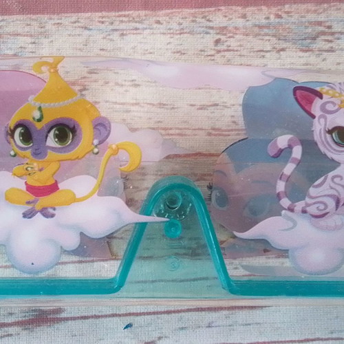 Children's glasses case Shina and Shine 2018 Viacom used