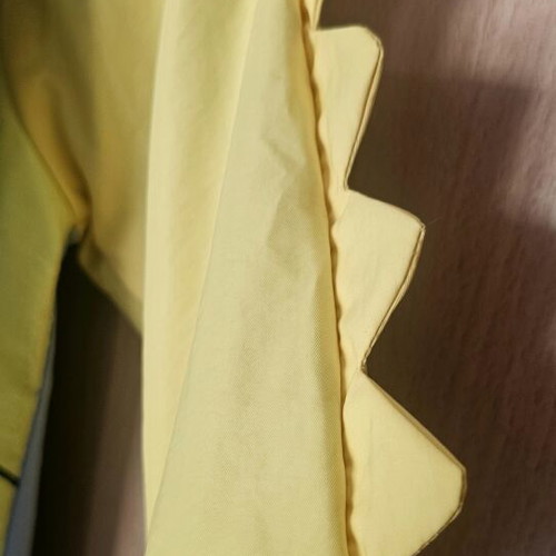 Children's windbreaker jacket 12M 3D Dinosaur like new