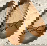  Camel Ballerinas Shoes