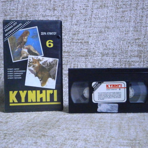 Hunting VHS used, vintage rental video cassette