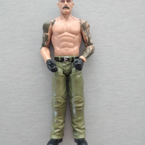 Dexter Lumis WWE Pro-Wrestling Action Figure like new