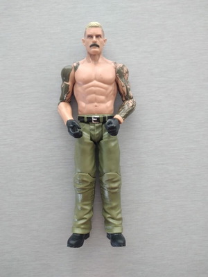 Dexter Lumis WWE Pro-Wrestling Action Figure like new