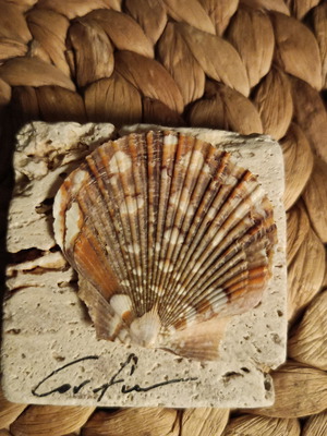 Μαγνητάκι Κέρκυρα καινούριο