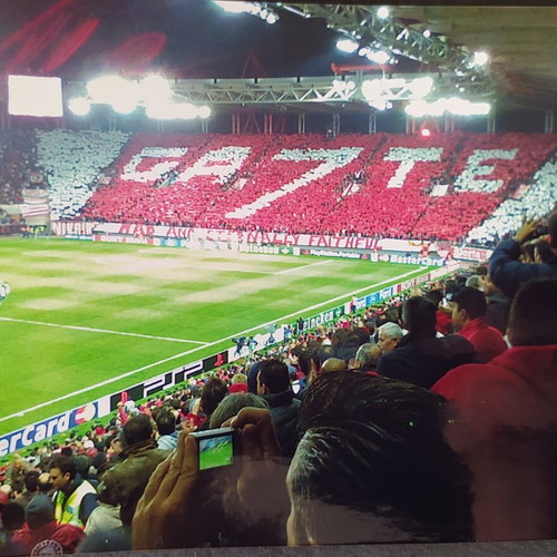 Olympiacos real photograph like new