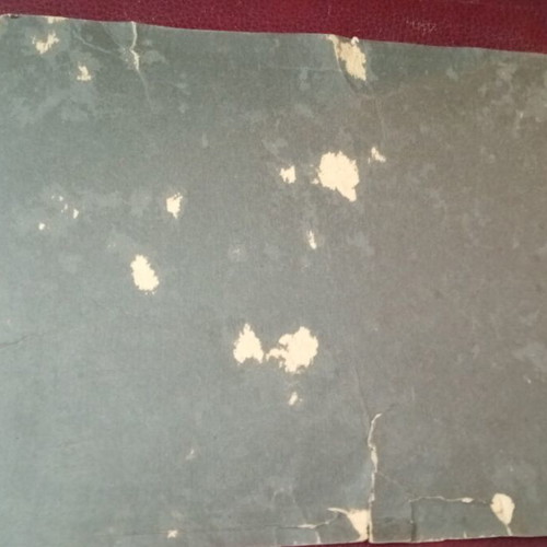 Thick cardboard photo 1920, worn