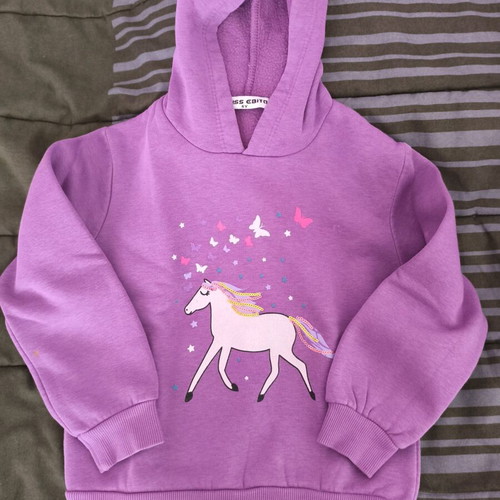 Girls' pack hoodie No6 and ANKA dress used, multicolor
