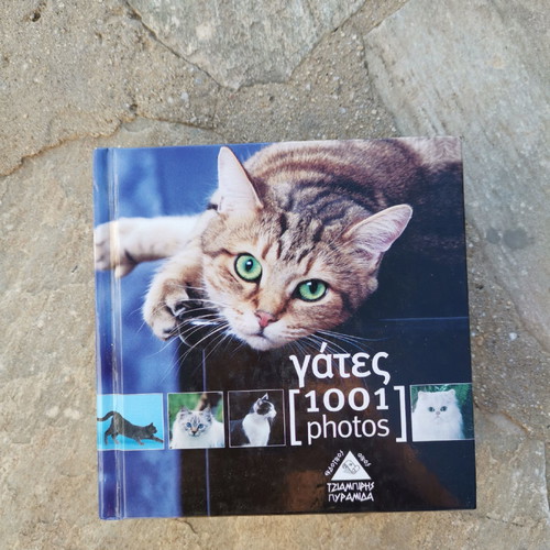 Book 1001 Cats without damage
