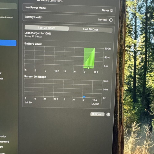 Apple MacBook Pro 16" 2019 A2141 i9 32GB 1TB SSD Touch Bar used