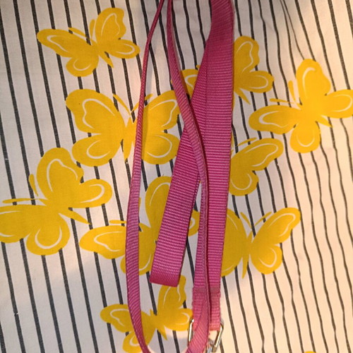 Pink leash like new