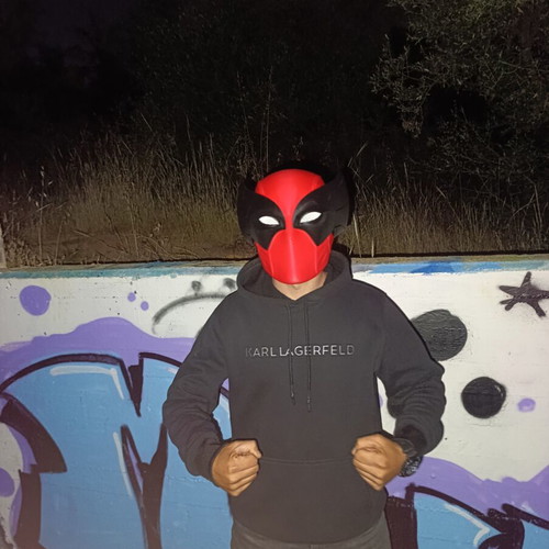Deadpool x Wolverine 3D Printed Mask custom fit, new