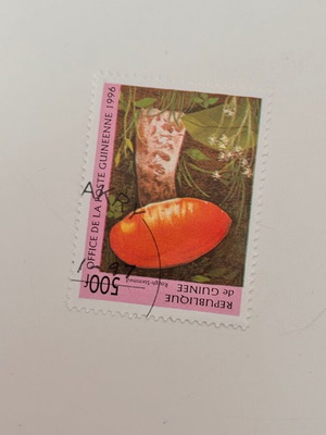 Guinea 1996 stamp like new, mushrooms series