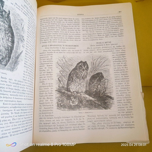 The Life of Animals used book