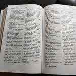 Greek-Czech Dictionary new condition