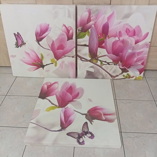 Pink Magnolia Canvas Photo Panel Set of 3