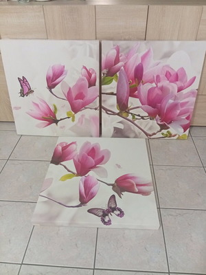 Pink Magnolia Canvas Photo Panel Set of 3