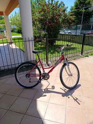 Sierra Champion 26" bicycle with new saddle, city bike