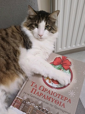The Most Beautiful Christmas and New Year Fairy Tales New Book