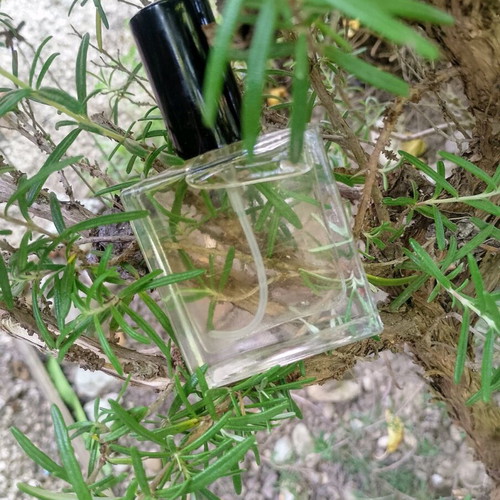 Mosquito Repellent Herbal Oil with Organic Oils new