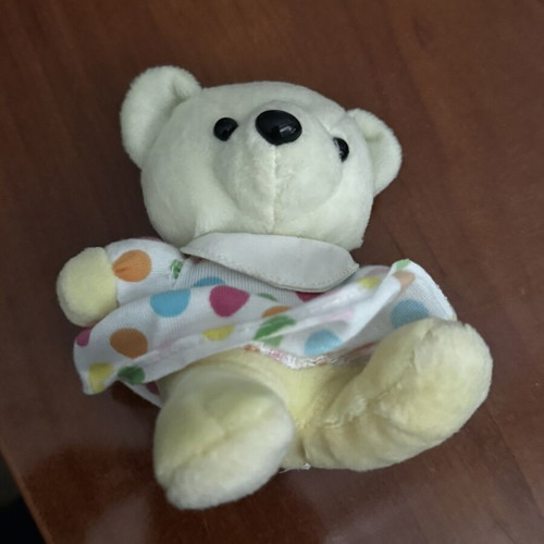 Teddy bear used plush toy