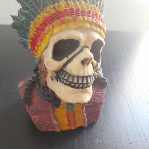Skull in excellent condition, height 13cm