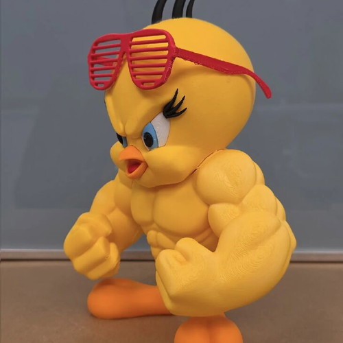 Tweety The Gym Bird figure 22cm height new