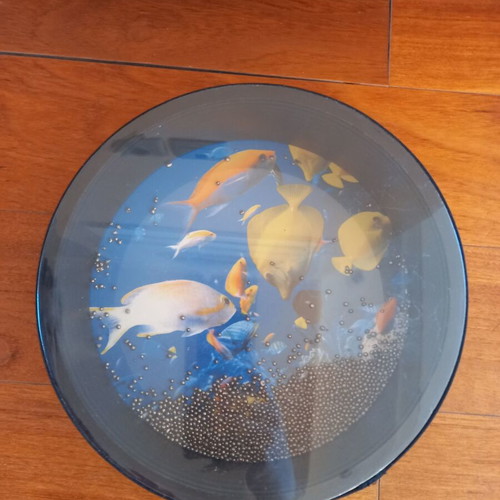 Sea sound used with beads, 25 cm diameter