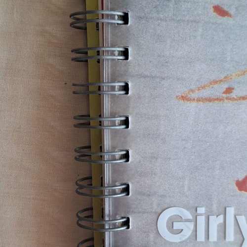 Taschen 2007 Girly Magazines vintage diary