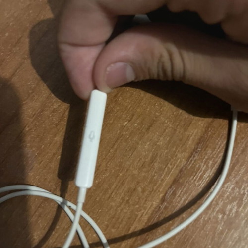 Apple earbuds