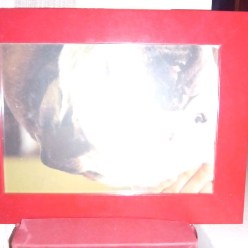 Frames used