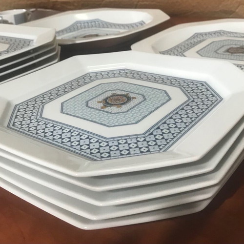 Bernardaud Limoges France Galapagos set like new with porcelain plates and cups