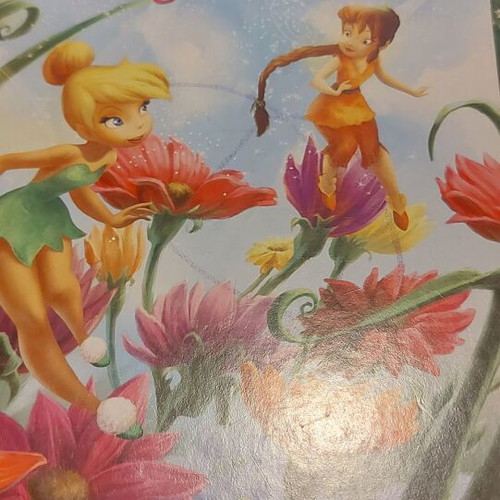 Fairy Songs children's book used in English