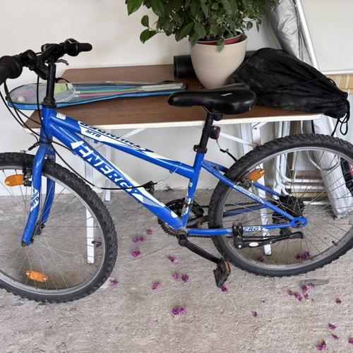 Two mountain bikes used for elementary and middle school kids