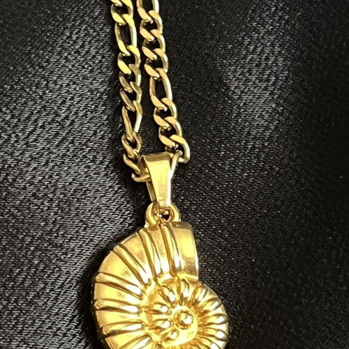 Necklace steel thick chain with removable summer pendant, like new