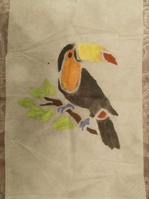 Shoe case new with handmade toucan parrot decoration