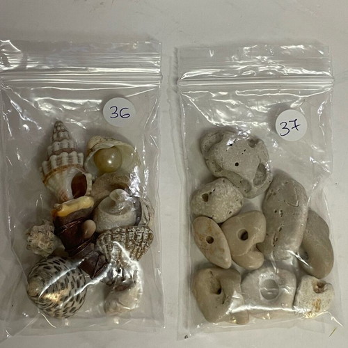 Shells and Pebbles Pack like new for Crafts