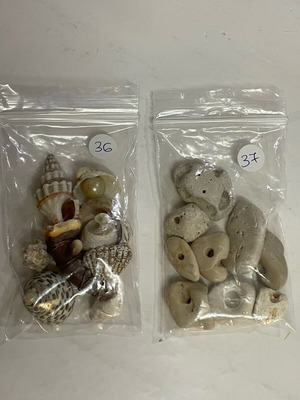 Shells and Pebbles Pack like new for Crafts
