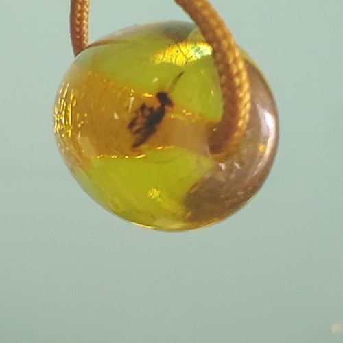 Komboloi with Natural Latin American Amber and Inclusions, Mint Condition