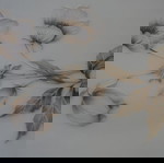  ΠΙΑΤΑ
