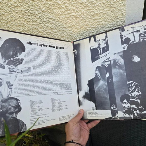 Albert Ayler New Grass Impulse 1969 vinyl like new, jazz