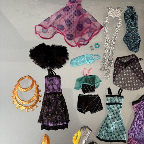 Monster High bundle with clothes, shoes and accessories used