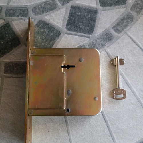 Domus lock used with four locking pins and key