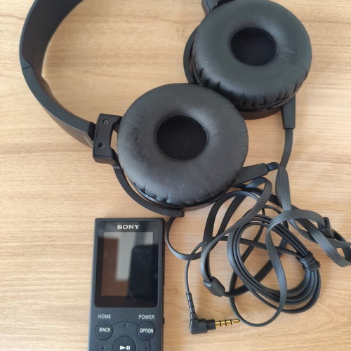 Sony Walkman digital music player NW-E393 like new with headphones