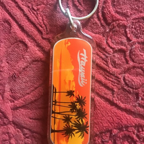 Hawaii keychain new
