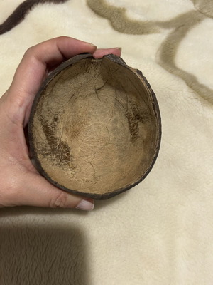 Coconut Bowl like new for nuts or other uses