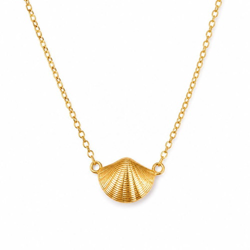 Necklace - SHELL - with steel chain and shell